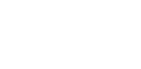 The wall street journal